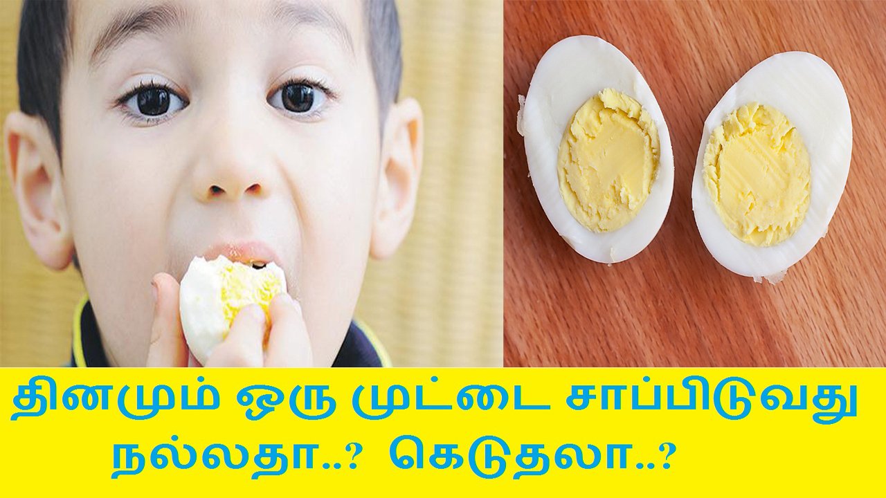 தினமும் ஒரு முட்டை சாப்பிடுவது நல்லதா..? கெடுதலா..?